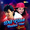 Dil Kitna Nadan Hai Remix